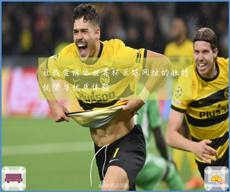 让我告诉你世界杯买球网址的独特优势与优质体验