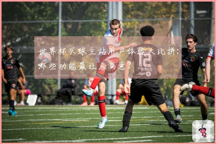 世界杯买球主站用户体验大比拼：哪些功能最让人满意？