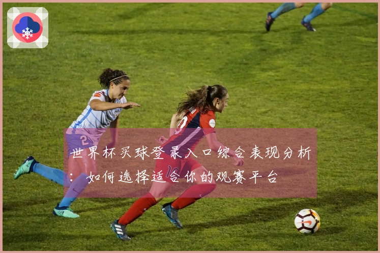 世界杯买球登录入口综合表现分析：如何选择适合你的观赛平台