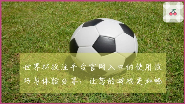 世界杯投注平台官网入口的使用技巧与体验分享，让您的游戏更加畅快