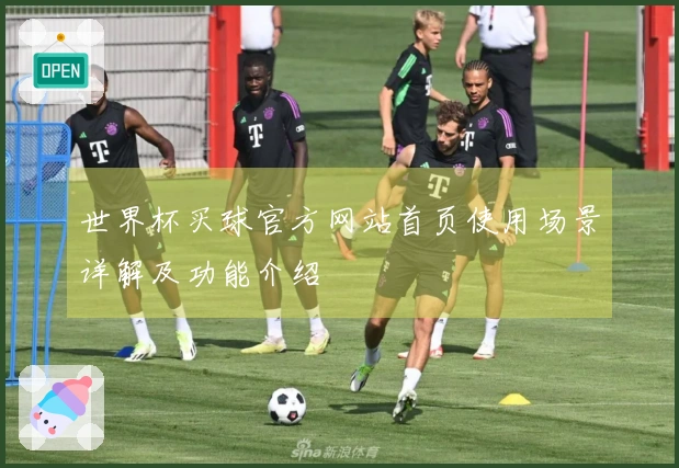 世界杯买球官方网站首页使用场景详解及功能介绍