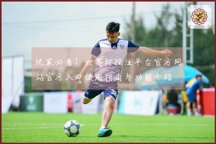 玩家必看！世界杯投注平台官方网站官方入口使用指南与功能介绍