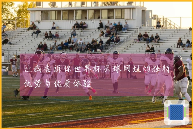 让我告诉你世界杯买球网址的独特优势与优质体验