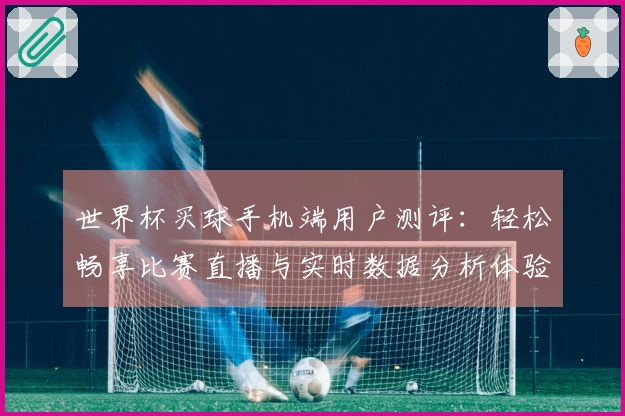 世界杯买球手机端用户测评:轻松畅享比赛直播与实时数据分析体验