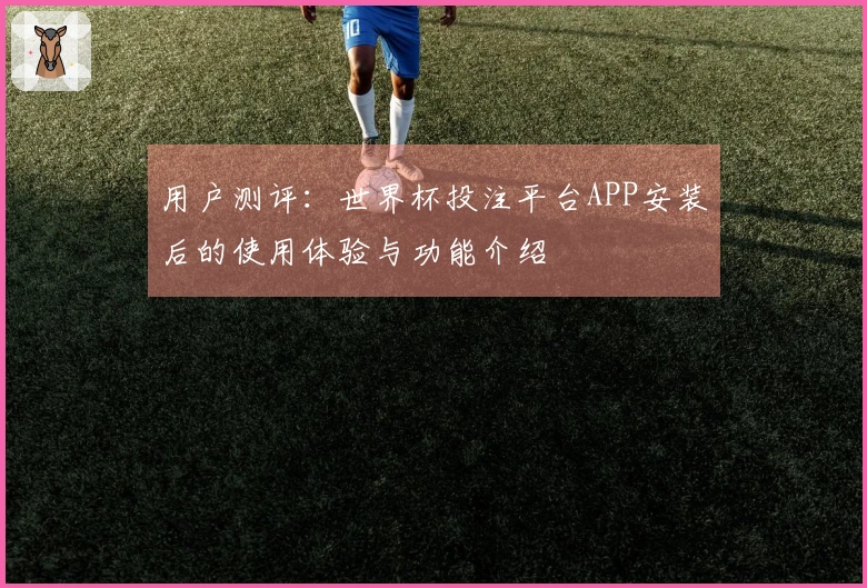 用户测评：世界杯投注平台APP安装后的使用体验与功能介绍