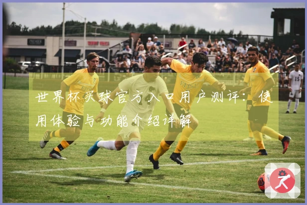 世界杯买球官方入口用户测评：使用体验与功能介绍详解