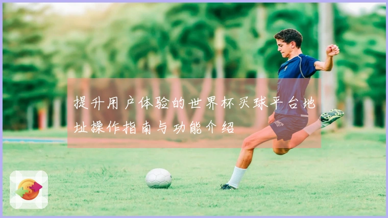 提升用户体验的世界杯买球平台地址操作指南与功能介绍
