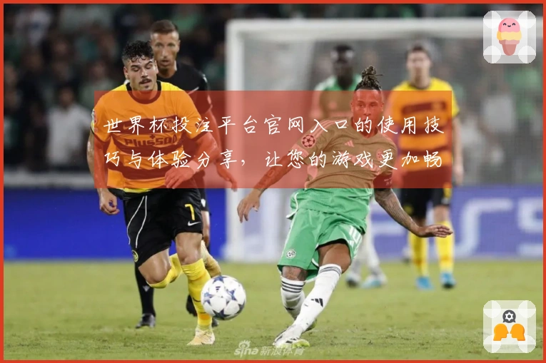 世界杯投注平台官网入口的使用技巧与体验分享,让您的游戏更加畅快