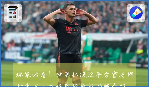 玩家必看！世界杯投注平台官方网站官方入口使用指南与功能介绍