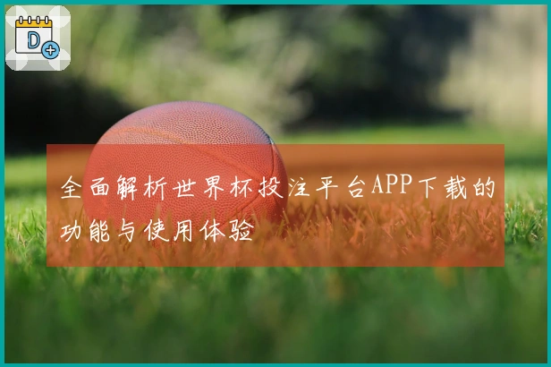 全面解析世界杯投注平台APP下载的功能与使用体验