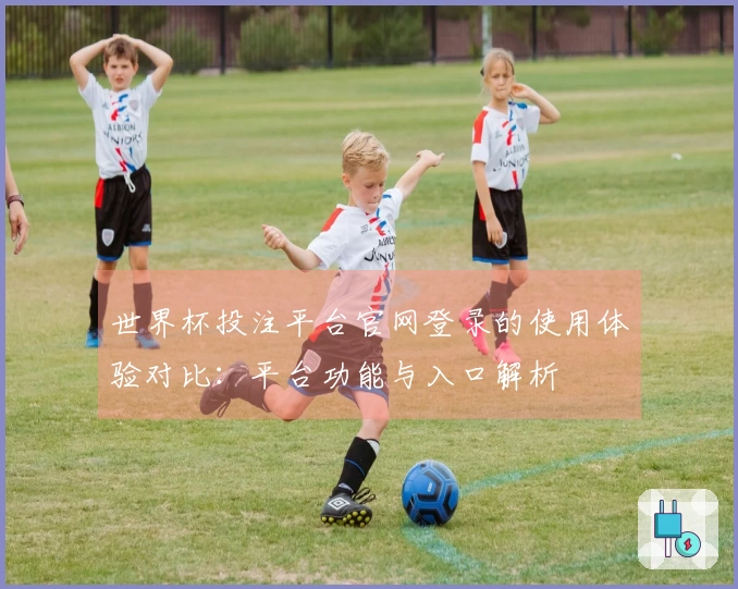 世界杯投注平台官网登录的使用体验对比：平台功能与入口解析