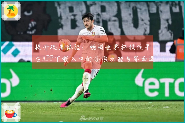 提升观看体验，畅游世界杯投注平台APP下载入口的各项功能与界面设定