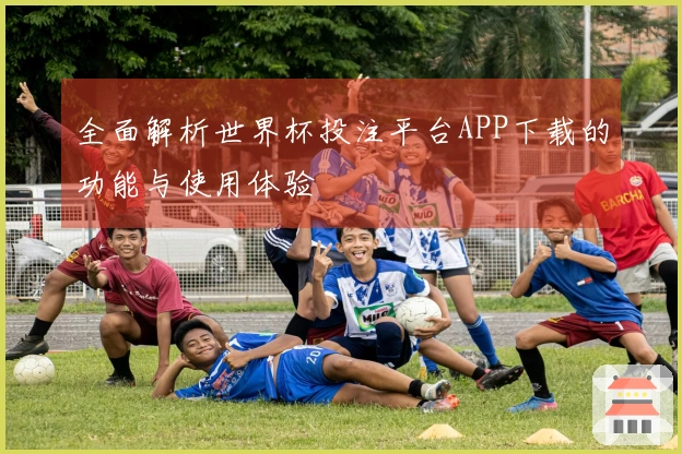 全面解析世界杯投注平台APP下载的功能与使用体验